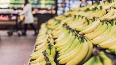 Определены продукты для увеличения продолжительности жизни - nation-news.ru - штат Алабама