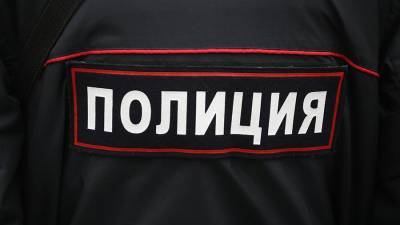 Алексей Навальный - У участника незаконной акции в Петербурге при обыске нашли полицейскую форму - iz.ru - Москва - Санкт-Петербург