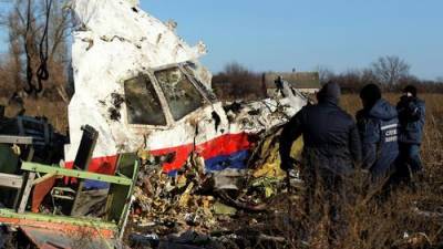 Игорь Гиркин - Стеф Блок - Нидерланды упорно выгораживают Украину в деле о сбитом Боинге рейса MH17 - argumenti.ru - Украина - Голландия - Малайзия - Донбасс