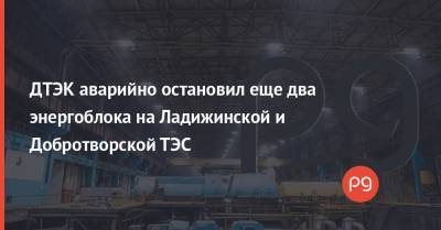 Андрей Герус - ДТЭК аварийно остановил еще два энергоблока на Ладижинской и Добротворской ТЭС - thepage.ua