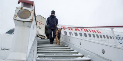 Наталья Кравчук - Идут на запах. Как работают служебные собаки, которые ищут взрывчатку в аэропорту Борисполь - nv.ua - Борисполь