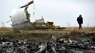 Стеф Блок - Нидерланды решили не привлекать Украину к ответу по делу MH17 - russian.rt.com - Киев - Голландия