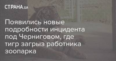 Появились новые подробности инцидента под Черниговом, где тигр загрыз работника зоопарка - strana.ua