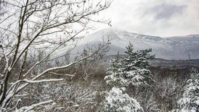 Каких сюрпризов нужно ждать от погоды в Крыму в воскресенье - crimea.ria.ru - Крым - Симферополь