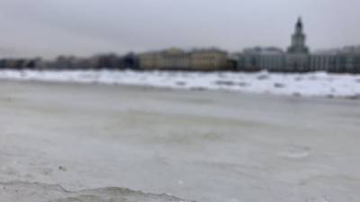 Аглая Чайковская - Автомобилистка едва не провалилась под лед из-за ДТП в Петербурге - politros.com - Санкт-Петербург