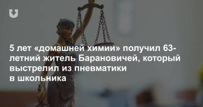 5 лет «домашней химии» получил 63-летний житель Барановичей, который выстрелил из пневматики в школьника - news.tut.by