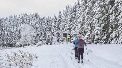 В Башкирии пара лыжников заблудилась и замёрзла в зимнем лесу - bash.news - Башкирия - с. Павловка