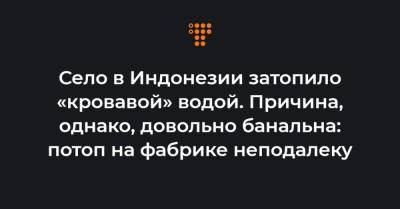 Село в Индонезии затопило «кровавой» водой. Причина, однако, довольно банальна: потоп на фабрике неподалеку - hromadske.ua - Индонезия