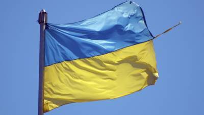 Виктор Скаршевский - Экономист Скаршевский назвал число украинцев, покинувших страну - riafan.ru - Киев