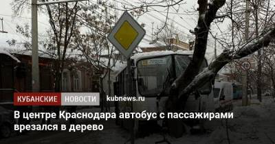 В центре Краснодара автобус с пассажирами врезался в дерево - kubnews.ru - Сочи - Краснодар
