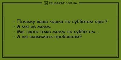 Веселые анекдоты на день 7 февраля, которые зарядят вас позитивом - ТЕЛЕГРАФ - telegraf.com.ua
