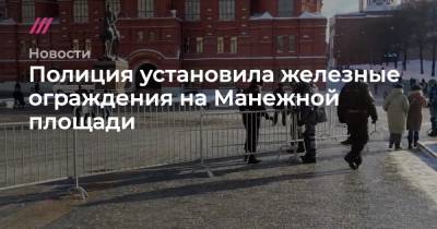 Алексей Навальный - Леонид Волков - Полиция установила железные ограждения на Манежной площади - tvrain.ru - Санкт-Петербург