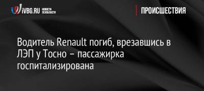 Водитель Renault погиб, врезавшись в ЛЭП у Тосно – пассажирка госпитализирована - ivbg.ru - Санкт-Петербург - Колпино