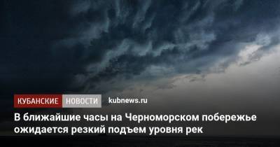 В ближайшие часы на Черноморском побережье ожидается резкий подъем уровня рек - kubnews.ru - Сочи