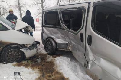 В Тернопольской области Opel влетел в микроавтобус, семеро пострадавших - zik.ua - Тернопольская обл.
