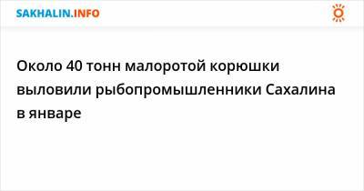 Около 40 тонн малоротой корюшки выловили рыбопромышленники Сахалина в январе - sakhalin.info - Приморье край - Сахалинская обл.