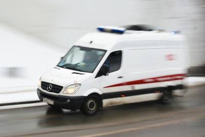 Прокуратура Москвы начала проверку после избиения малолетней на северо-востоке города - m24.ru - Москва - Башкирия