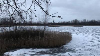 В ночь на понедельник в пригородах Петербурга похолодает до -20 градусов - piter.tv - Санкт-Петербург - Петербург