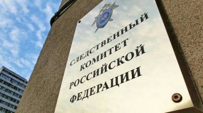 Вадим Наумов - СК расследует отравление людей газом в Подмосковье - nation-news.ru - Московская обл.
