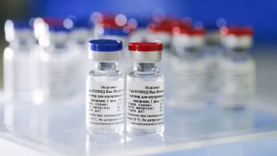 Посольство РФ напомнило Литве, что в России уже идет вакцинация от COVID-19 - riafan.ru - Литва - Вильнюс