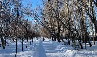 Топ-3 Тюмени: траурное фото, у суда новое здание, кланы Тюмени - nashgorod.ru - Тюмень - Тюменская обл.