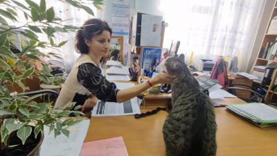 Кот-чиновник более 10 лет служит в администрации Невинномысска. - riafan.ru - Ставрополье - Невинномысск