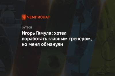 Игорь Гамула: хотел поработать главным тренером, но меня обманули - championat.com