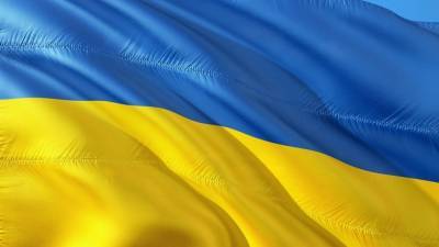 Виктор Медведчук - Владислава Грин - Бывшего главреда "Украины.ру" проверят в СБУ после интервью с лидером ОПЗЖ - nation-news.ru