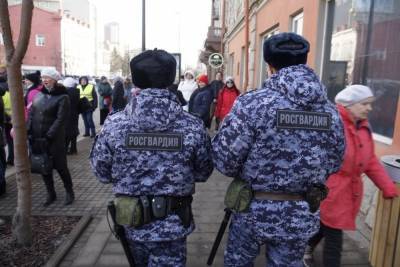 Росгвардейцы спасли в Иванове женщину от стаи бродячих псов - mkivanovo.ru