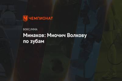 Александр Волков - Дана Уайт - Виталий Минаков - Минаков: Миочич Волкову по зубам - championat.com