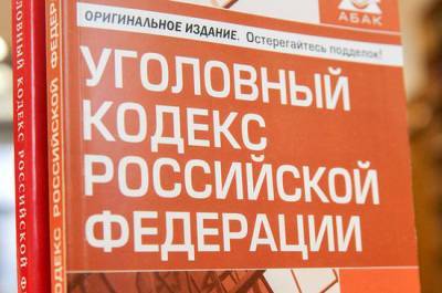Ирина Яровая - Уголовную ответственность за реабилитацию нацизма в Интернете предлагают ужесточить - pnp.ru