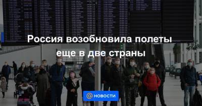 Россия возобновила полеты еще в две страны - news.mail.ru - Греция - Сингапур