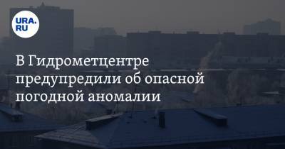 В Гидрометцентре предупредили об опасной погодной аномалии - ura.news - Московская обл. - Владимирская обл. - Костромская обл.