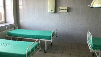 Мария Базарева - Около 14 привитых от коронавируса в Германии заразились британским штаммом - nation-news.ru