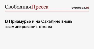 Валерий Лимаренко - В Приамурье и на Сахалине вновь «заминировали» школы - svpressa.ru - Москва - Амурская обл. - Сахалинская обл. - Благовещенск