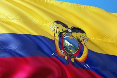 Кандидат на пост президента Эквадора Араус объявил о своей победе - aif.ru - Эквадор