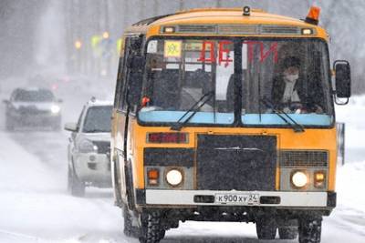 Денис Мантуров - В России пожаловались на небезопасные автобусы для перевозки детей - lenta.ru