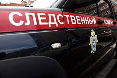 В Озерске из-за несчастного случая умер девятимесячный ребенок - znak.com - Озерск