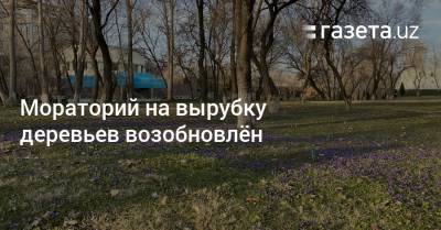 Мораторий на вырубку деревьев возобновлён - gazeta.uz - Узбекистан