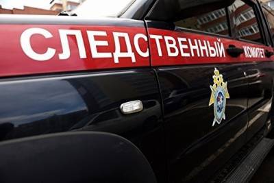 Владимир Шишков - В истории о находке головы на свалке в Челябинской области — новые подробности - znak.com - Челябинская обл.