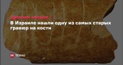 Древние эмодзи. В Израиле нашли одну из самых старых гравюр на кости - nv.ua - Израиль