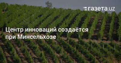 Шавкат Мирзиеев - Центр инноваций создаётся при Минсельхозе - gazeta.uz - Узбекистан