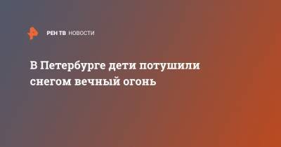 В Петербурге дети потушили снегом вечный огонь - ren.tv - Санкт-Петербург