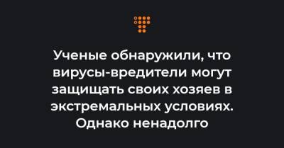 Ученые обнаружили, что вирусы-вредители могут защищать своих хозяев в экстремальных условиях. Однако ненадолго - hromadske.ua - Испания