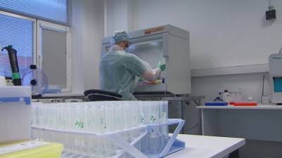 В России создан тест, который показывает способность организма бороться с COVID-19 на клеточном уровне - vesti.ru