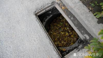 Во Франции - Во Франции коронавирусную вспышку изучают по сточным водам - newdaynews.ru