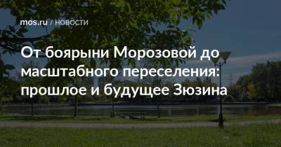 Иван Грозный - От боярыни Морозовой до масштабного переселения: прошлое и будущее Зюзина - mos.ru - Москва