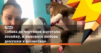 Собака до чертиков напугала хозяйку, и виновата любовь девушки к косметике - ridus.ru - США - шт. Массачусетс