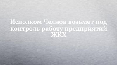 Наиль Магдеев - Исполком Челнов возьмет под контроль работу предприятий ЖКХ - chelny-izvest.ru