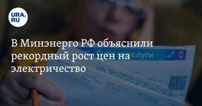 Павел Сниккарс - В Минэнерго РФ объяснили рекордный рост цен на электричество - ura.news